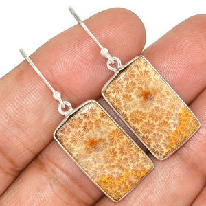 Indonesian Fossil Coral 925 Solid Silver Earrings